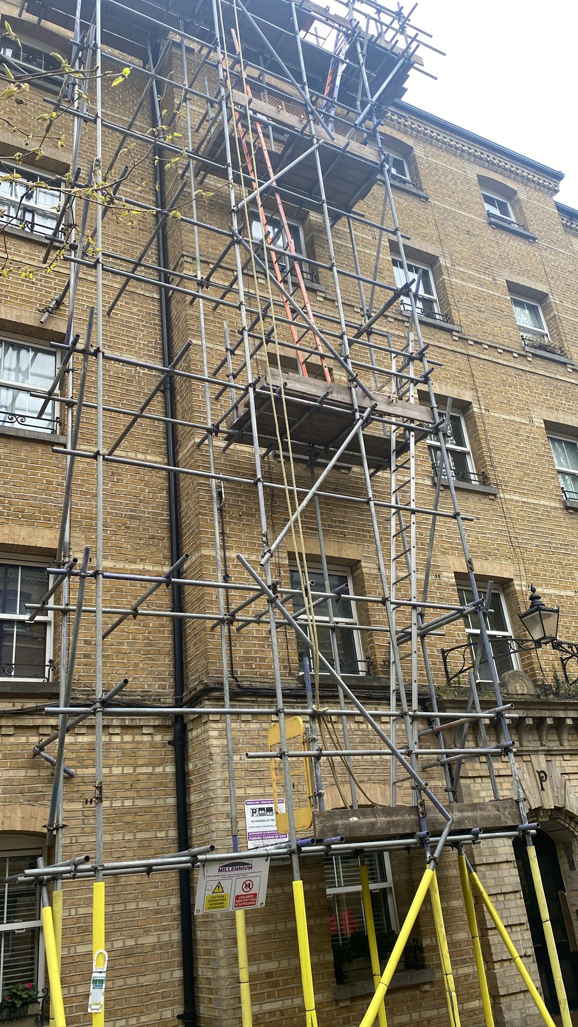 Professional scaffolding services